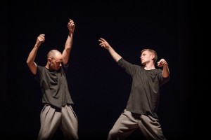 A healthy dance ecology?